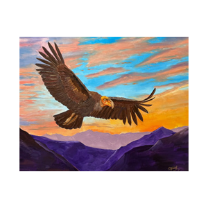 "California Condor." Oil on Canvas | 24x30